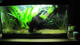 aquarium-von-leo-fan-lukes-54---aufgeloest--_