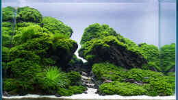 aquarium-von-fredo-fuss-straight-edge_