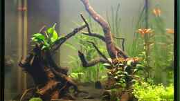 aquarium-von-eesee-becken-32366_