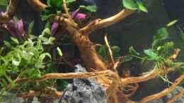 aquarium-von-rocknar-becken-33060_