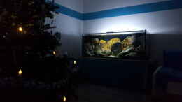 aquarium-von-mel-540-l-malawi-rock_Schöne weihnachten 