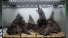 aquarium-von-micha----elysion_Hardscape