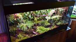 aquarium-von-junglist-a-river-runs-through-it-existiert-so-nicht-mehr_17.11.2018