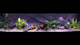 aquarium-von-boeri-becken-34206_