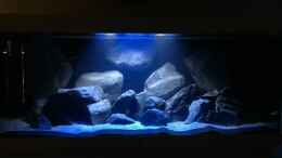 aquarium-von-bremerhavener-project-malawi-vol--1_Hauptansicht