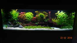 aquarium-von-aqua-josh-mystic-river_