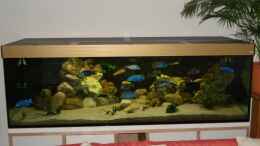 aquarium-von-andreas-hanfstaengl-becken-3668_Neue Frontansicht