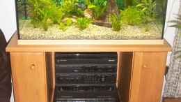 aquarium-von-rolf-brandt-becken-3708_Mein Aquarium 