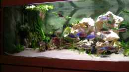 aquarium-von-phyvf-becken-3714_