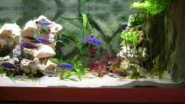 aquarium-von-phyvf-becken-3714_