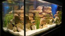 aquarium-von-mikolas-rost-becken-3719_