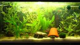 aquarium-von-fabian-springer-becken-3743_