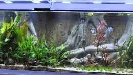 aquarium-von-chris64-buero-290_