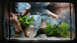 aquarium-von-philipp-steinbrueck-becken-37662_