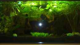 aquarium-von-patrick-block-becken-3825_