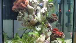 aquarium-von-water13-becken-4036_