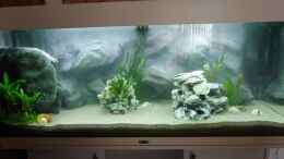 aquarium-von-shayla-becken-42978_