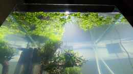 aquarium-von-marco-b--groot_