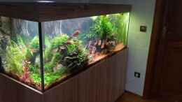 aquarium-von-acero-acero-gesellschaft_