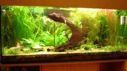 aquarium-von-matthias-bosse-becken-4349_