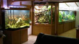 aquarium-von-rainer-probst-becken-4412_