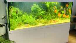 aquarium-von-signo-1000l-amazonas_