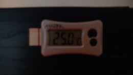 Foto mit digitales Thermometer