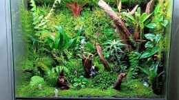 aquarium-von-junglist-amazon_