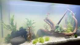 aquarium-von-skyrap-becken-44984_