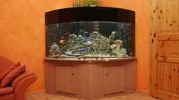 aquarium-von-rene-ickelsheimer-becken-4748_