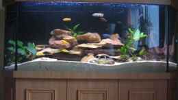 aquarium-von-thomas-illner-becken-4850_