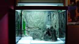 aquarium-von-lisa-becken-5244_Aquarium passt