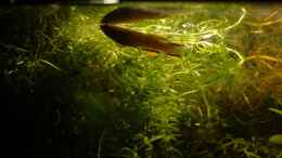 aquarium-von-miriam-burg-becken-5331_