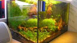 aquarium-von-christian-berger-becken-5339_