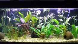 aquarium-von-rene-jockwer-becken-5351_