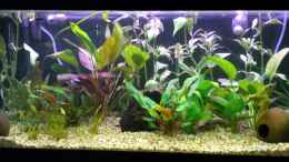 aquarium-von-rene-jockwer-becken-5351_