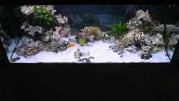 aquarium-von-felix-fabian-becken-547_