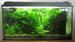 aquarium-von-tntlogge-becken-5980_