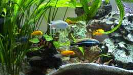 aquarium-von-andi-becken-6199_Familienfoto