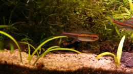 aquarium-von-rene-leubecher-becken-6208_