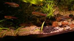 aquarium-von-rene-leubecher-becken-6208_