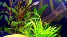 aquarium-von-cathrin-krause-becken-6233_