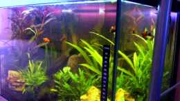 aquarium-von-cathrin-krause-becken-6233_