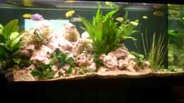 aquarium-von-lutz-altepost-becken-6700_Becken hinten