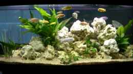 aquarium-von-lutz-altepost-becken-6700_Becken vorne