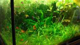 aquarium-von-udo-maerz-becken-6971_Front/linke Seite