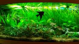 aquarium-von-bea-becken-7122_