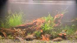 aquarium-von-comander-wild-nature-2-0_01.05.2024