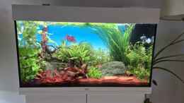 aquarium-von-laura-juwel-rio-125_8.12.2024