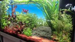 aquarium-von-laura-juwel-rio-125_8.12.2024